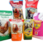 img_20250916_113017211_2-removebg-preview - copia